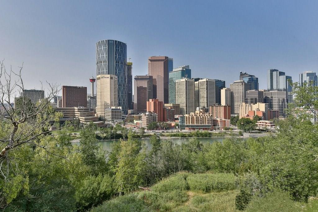 Calgary Condos Daily Market Watch and Statistics Report from Calgary Realtor Jerry Charlton